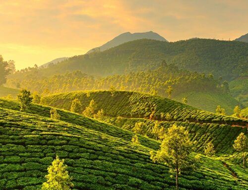 Munnar